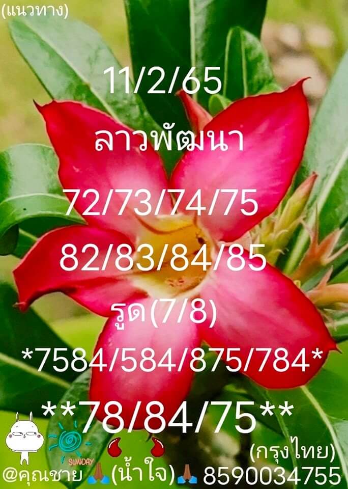 แนวทางหวยลาว 11/2/65 ชุดที่ 7