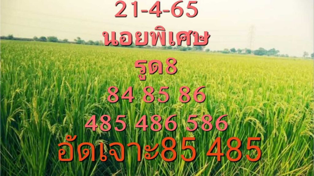 แนวทางหวยฮานอย 21/4/65 ชุดที่ 3