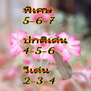 แนวทางหวยฮานอย 29/4/67 ชุดที่ 8