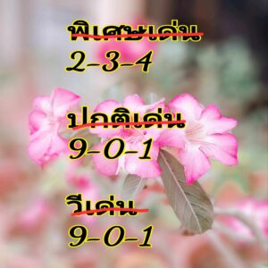 แนวทางหวยฮานอย 24/5/67 ชุดที่ 3