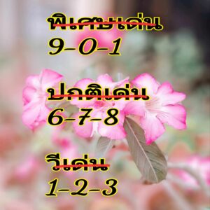 แนวทางหวยฮานอย 17/5/67 ชุดที่ 2