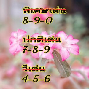 แนวทางหวยฮานอย 8/5/67 ชุดที่ 2