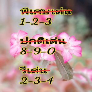 แนวทางหวยฮานอย 11/5/67 ชุดที่ 3