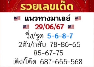 แนวทางหวยมาเลย์ 29/6/67 ชุดที่ 4