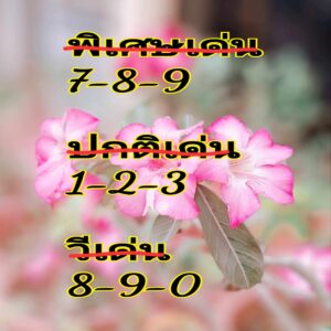 แนวทางหวยฮานอย 18/6/67 ชุดที่ 2