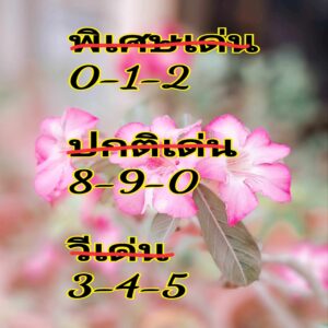 แนวทางหวยฮานอย 19/6/67 ชุดที่ 2