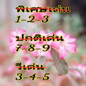 แนวทางหวยฮานอย 14/6/67 ชุดที่ 3