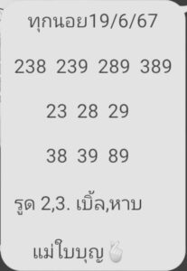 แนวทางหวยฮานอย 19/6/67 ชุดที่ 4