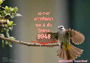 แนวทางหวยลาว 22/7/67 ชุดที่ 9