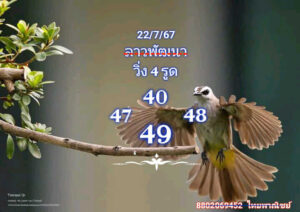 แนวทางหวยลาว 22/7/67 ชุดที่ 7