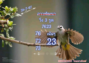 แนวทางหวยลาว 24/7/67 ชุดที่ 8