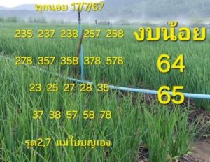 แนวทางหวยฮานอย 17/7/67 ชุดที่ 1