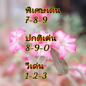 แนวทางหวยฮานอย 2/7/67 ชุดที่ 3