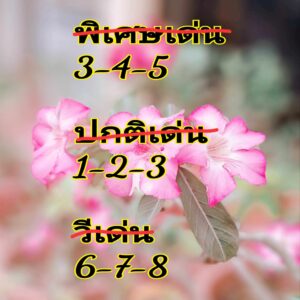 แนวทางหวยฮานอย 3/7/67 ชุดที่ 4