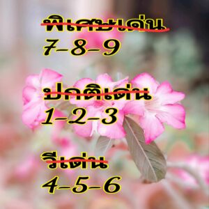 แนวทางหวยฮานอย 10/7/67 ชุดที่ 9