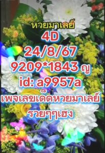 แนวทางหวยมาเลย์ 24/8/67 ชุดที่ 8