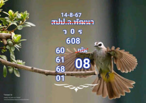 แนวทางหวยลาว 14/8/67 ชุดที่ 6