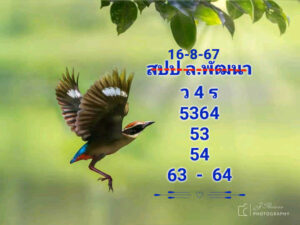 แนวทางหวยลาว 16/8/67 ชุดที่ 8