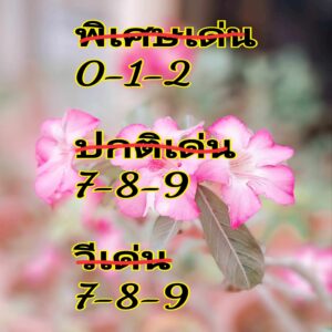 แนวทางหวยฮานอย 2/8/67 ชุดที่ 4