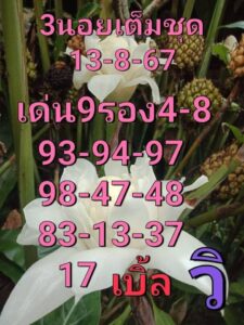 แนวทางหวยฮานอย 13/8/67 ชุดที่ 6