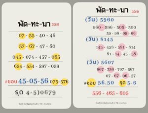 แนวทางหวยลาว 30/9/67 ชุดที่ 8