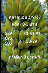 แนวทางหวยฮานอย 3/9/67 ชุดที่ 10