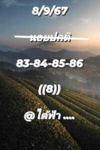 แนวทางหวยฮานอย 8/9/67 ชุดที่ 2