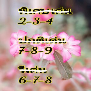 แนวทางหวยฮานอย 17/9/67 ชุดที่ 3