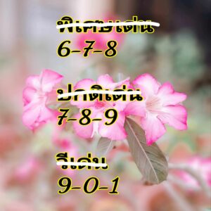 แนวทางหวยฮานอย 5/9/67 ชุดที่ 3