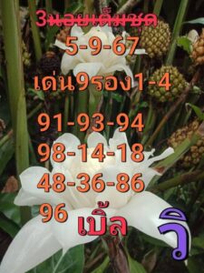 แนวทางหวยฮานอย 5/9/67 ชุดที่ 5