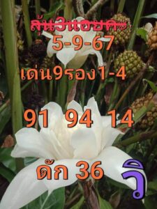 แนวทางหวยฮานอย 5/9/67 ชุดที่ 6