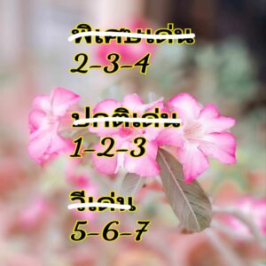 แนวทางหวยฮานอย 4/9/67 ชุดที่ 8