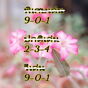 แนวทางหวยฮานอย 11/9/67 ชุดที่ 9