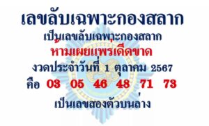 เลขลับเฉพาะกองสลาก 1/10/67