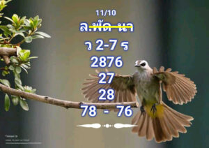 แนวทางหวยลาว 11/10/67 ชุดที่ 7