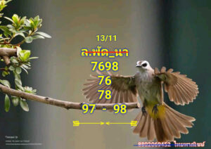 แนวทางหวยลาว 13/11/67 ชุดที่ 10