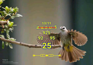 แนวทางหวยฮานอย 13/11/67 ชุดที่ 8