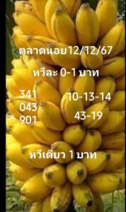 แนวทางหวยฮานอย 12/12/67 ชุดที่ 10