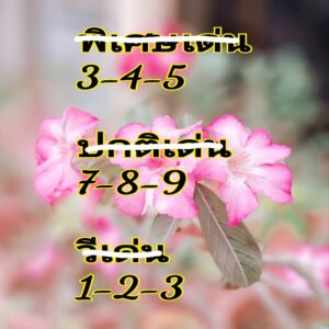 แนวทางหวยฮานอย 26/12/67 ชุดที่ 5