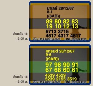 แนวทางหวยมาเลย์ 28/12/67 ชุดที่ 9