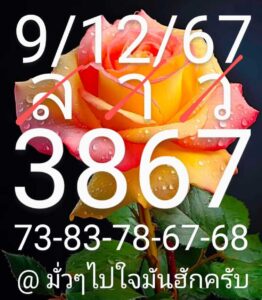 แนวทางหวยลาว 9/12/67 ชุดที่ 3