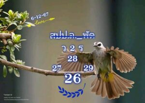 แนวทางหวยลาว 6/12/67 ชุดที่ 6