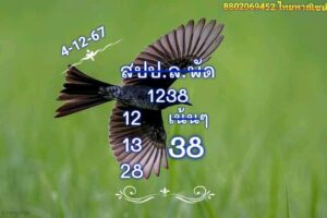 แนวทางหวยลาว 4/12/67 ชุดที่ 7