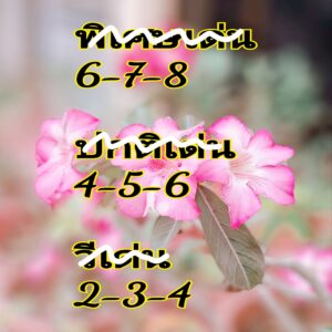 แนวทางหวยฮานอย 13/2/68 ชุดที่ 3